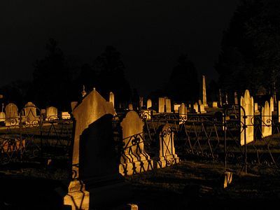 Неуплата штрафов привела водителя на кладбище